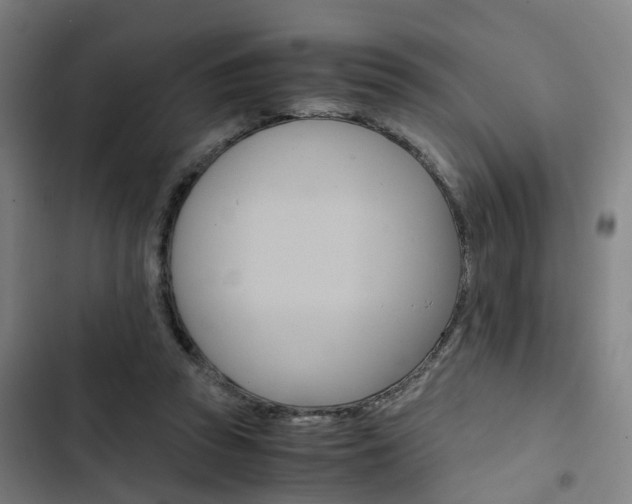 X0000103330353200809051027