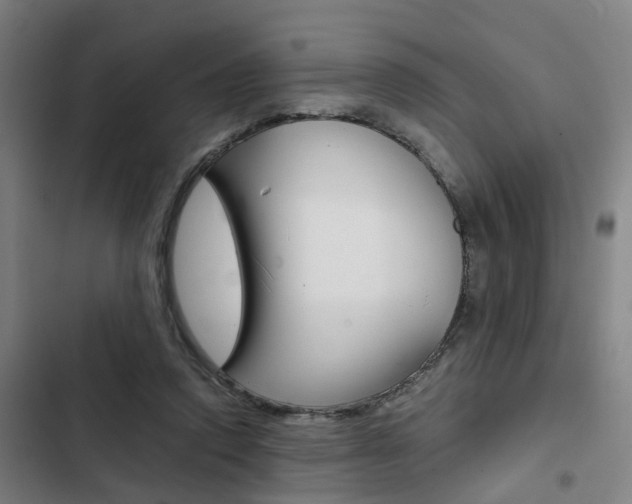 X0000103330354200809051027