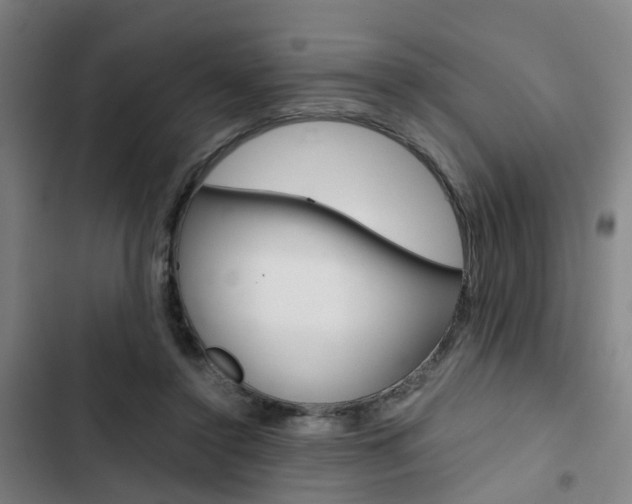 X0000103330356200809051027