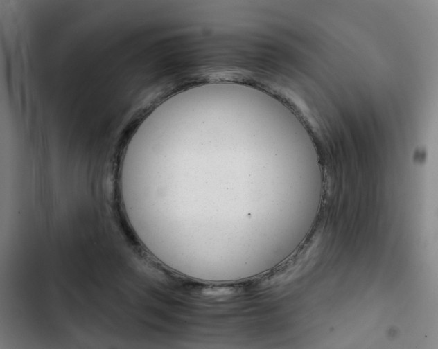X0000103330357200809051027