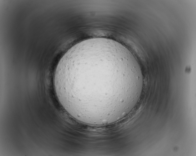 X0000103330359200809051027