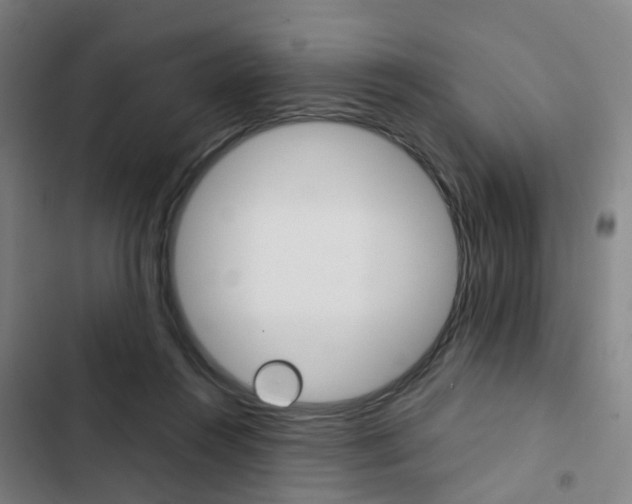 X0000103330360200809051027