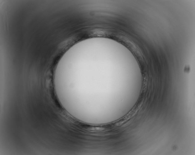 X0000103330361200809051027