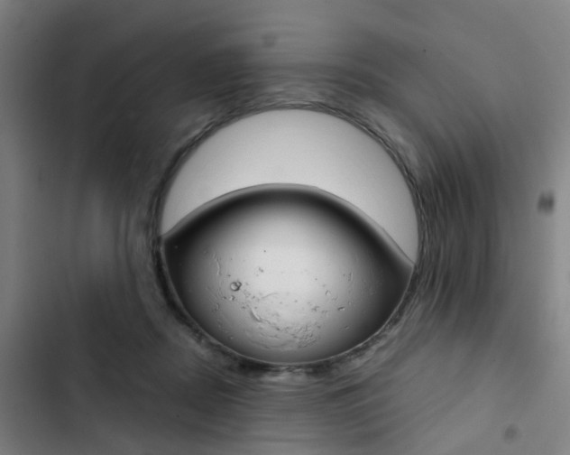 X0000103330362200809051027