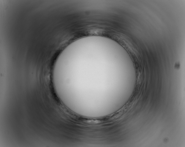 X0000103330363200809051027