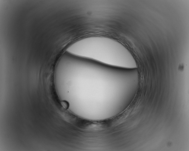 X0000103330364200809051027