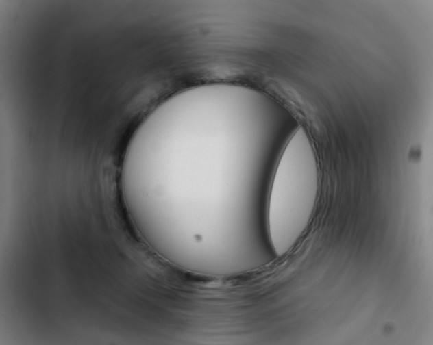 X0000103330366200809051027