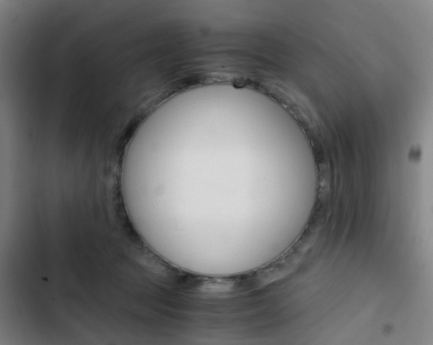 X0000103330369200809051027