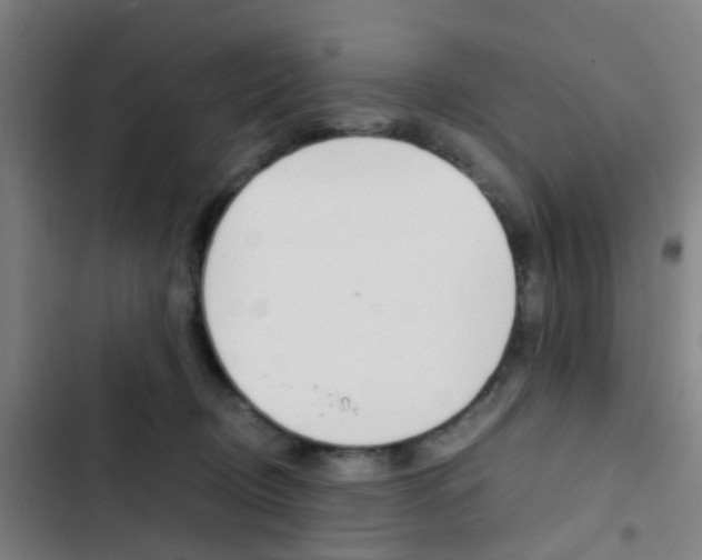 X0000103330370200809051027