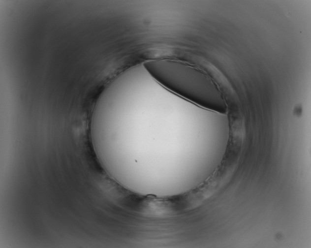 X0000103330372200809051027