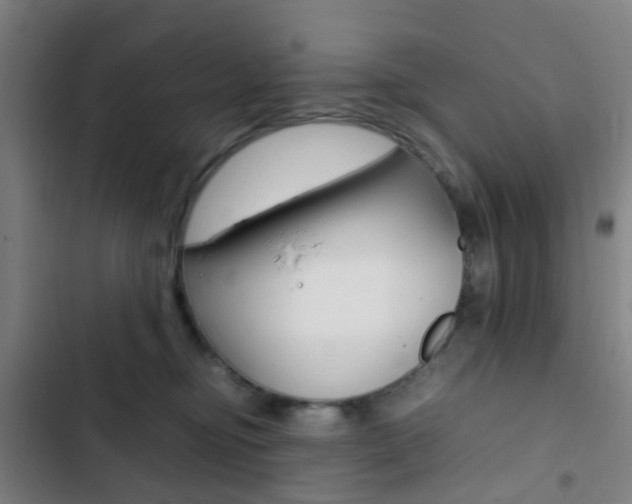 X0000103330374200809051027
