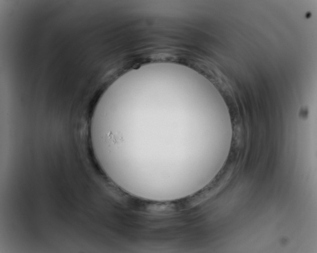 X0000103330375200809051027