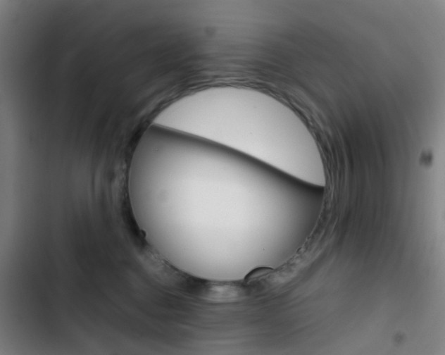 X0000103330376200809051028