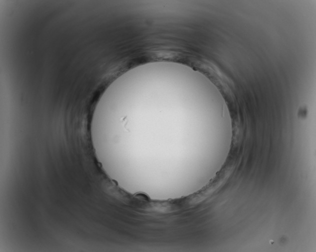 X0000103330377200809051028
