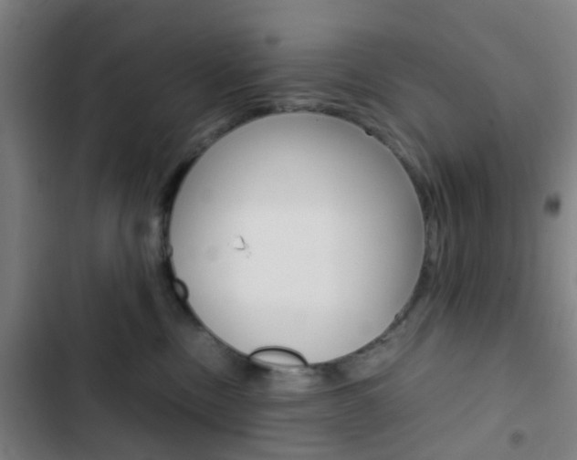 X0000103330378200809051028