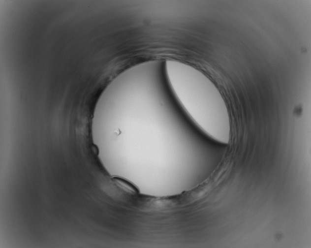 X0000103330379200809051028