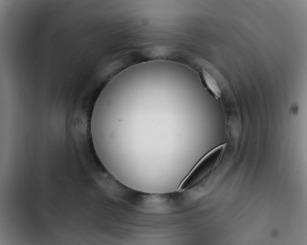 X0000103330380200809051028