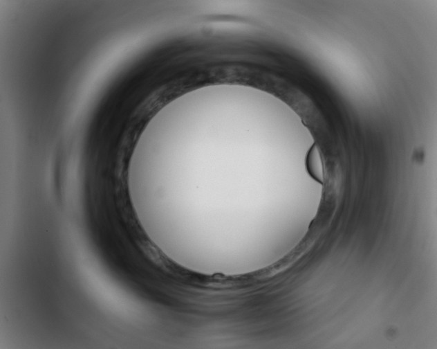 X0000103330381200809051028