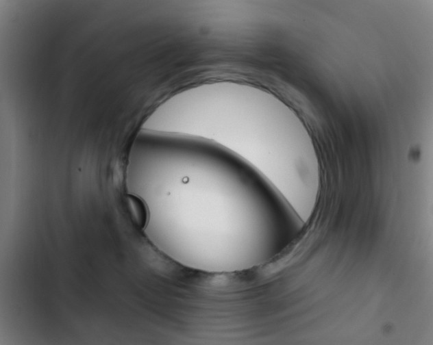 X0000103330382200809051028