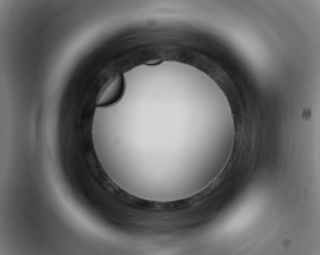 X0000103330383200809051028