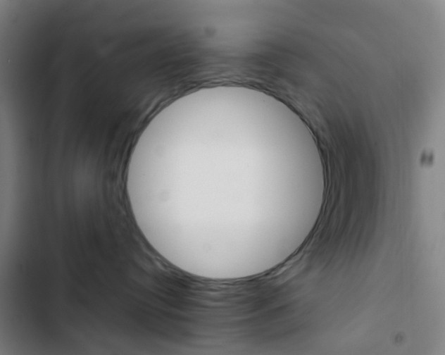 X0000103330384200809051028