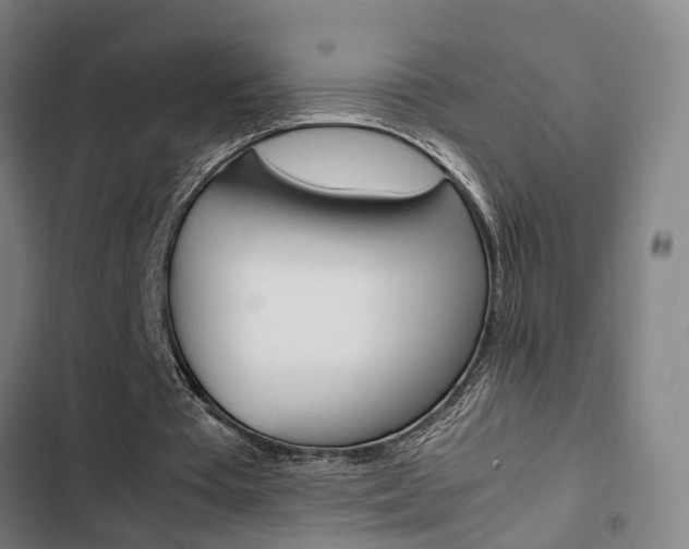 X0000103330385200809051027