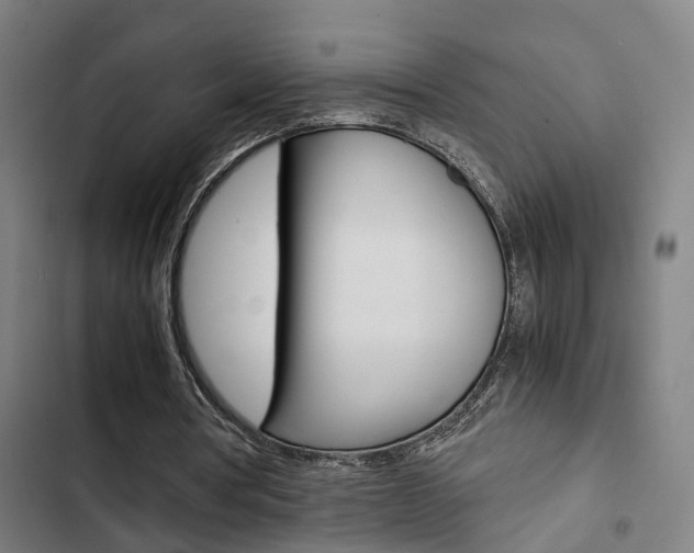 X0000103330386200809051027