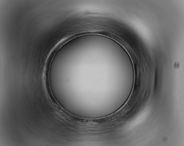 X0000103330387200809051027