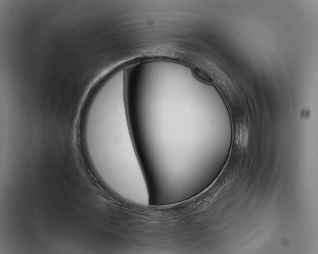 X0000103330388200809051027