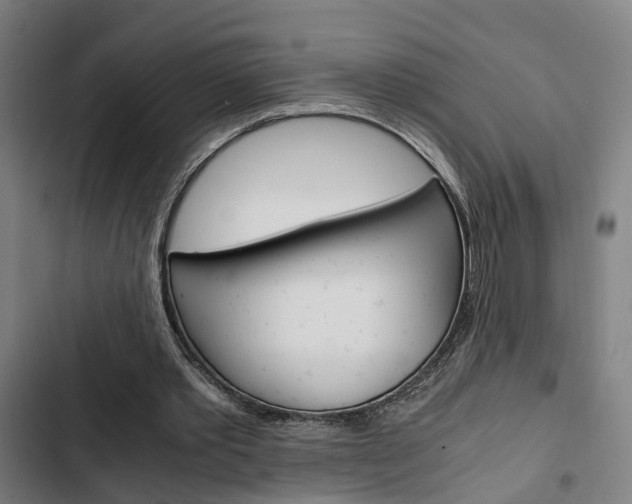 X0000103330389200809051027