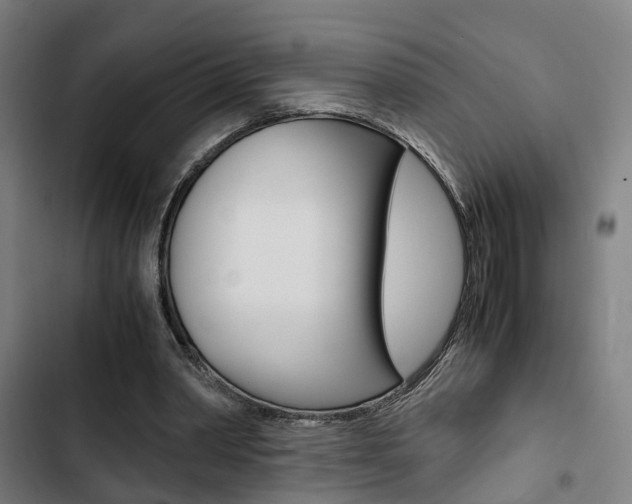 X0000103330390200809051027