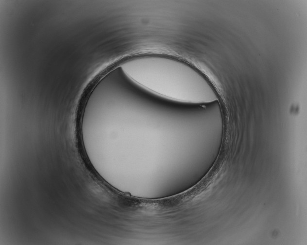 X0000103330391200809051027
