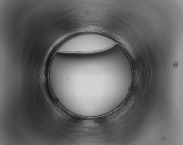 X0000103330392200809051027