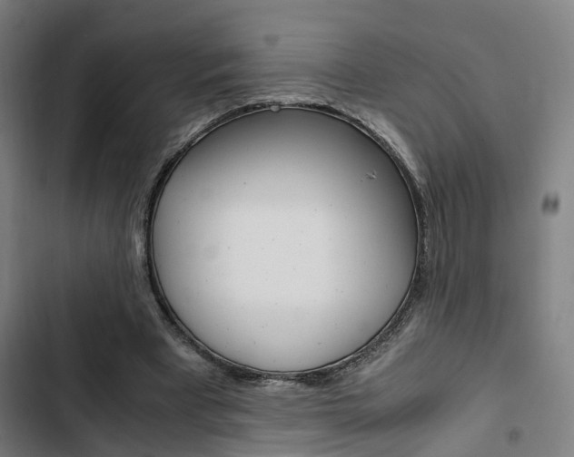 X0000103330393200809051027