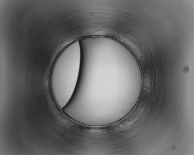 X0000103330394200809051027
