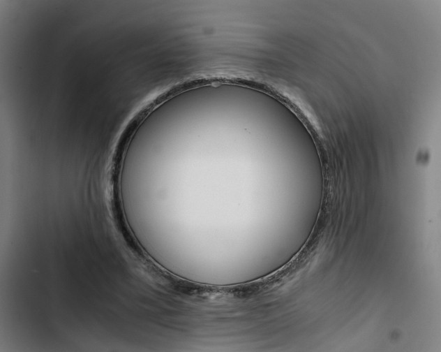 X0000103330395200809051027