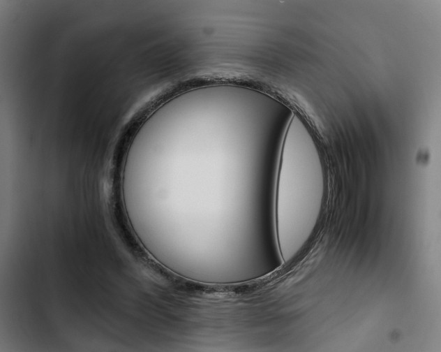X0000103330396200809051027