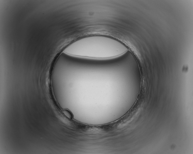 X0000103330397200809051027