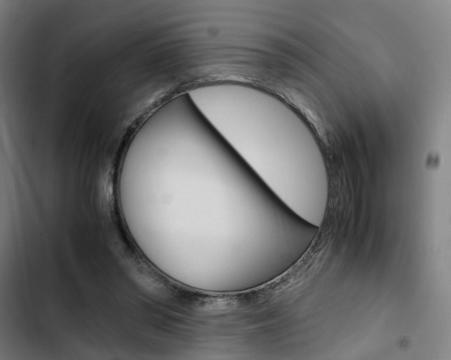 X0000103330398200809051027