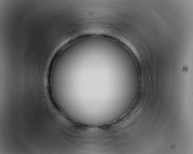 X0000103330399200809051027