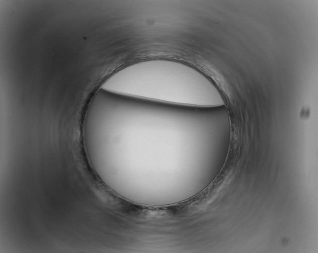 X0000103330401200809051027