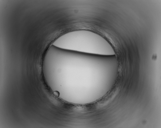 X0000103330402200809051027