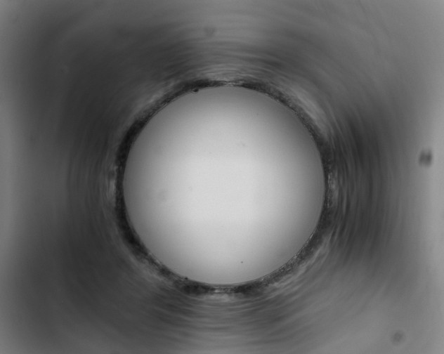 X0000103330404200809051027