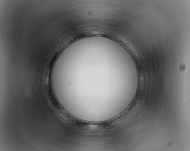 X0000103330406200809051027