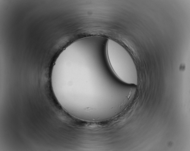 X0000103330407200809051027