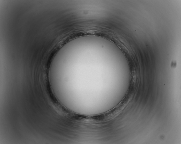 X0000103330408200809051027