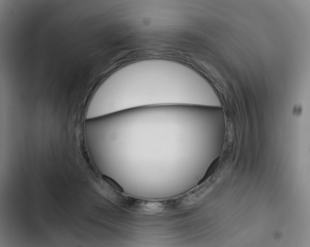 X0000103330409200809051027