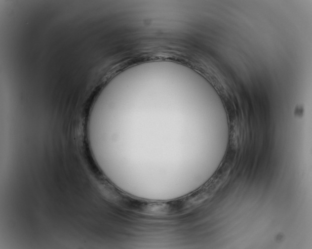 X0000103330410200809051027