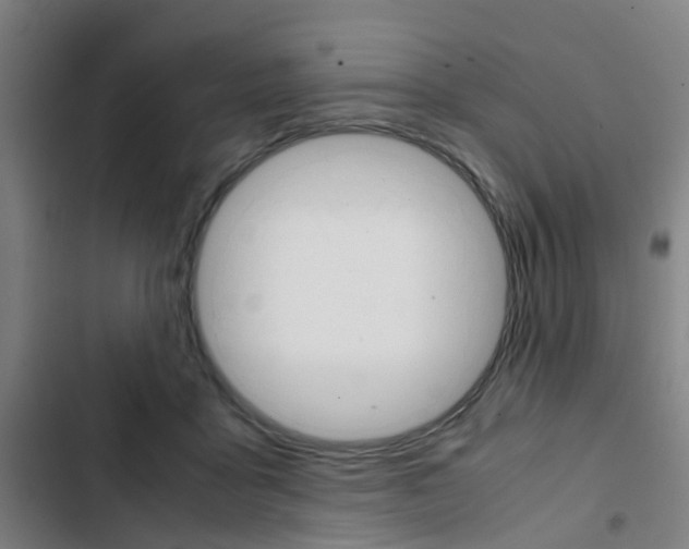 X0000103330411200809051027