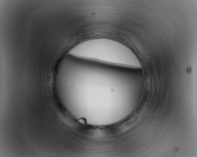 X0000103330412200809051027